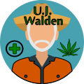 UJ Walden Cannabissorten
